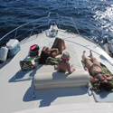 Cabo Yachts Charters, Boat Rentals Cabo San Lucas Mexico